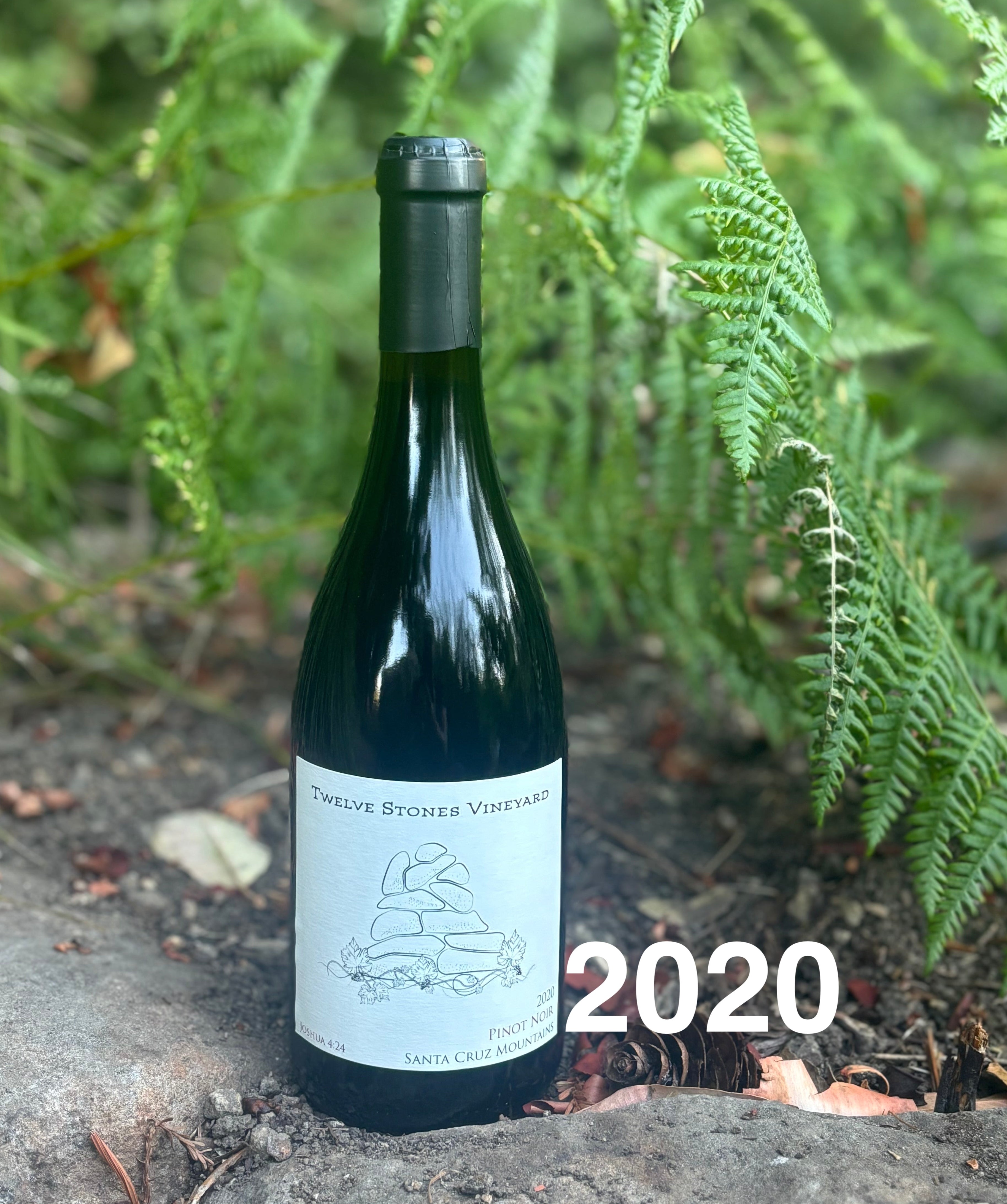 2020 Pinot Noir – Twelve Stones Winery
