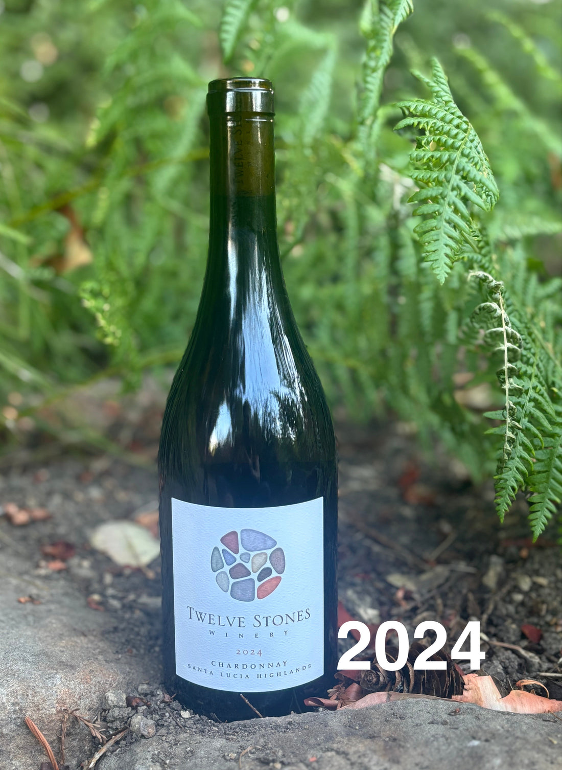 2024 Chardonnay