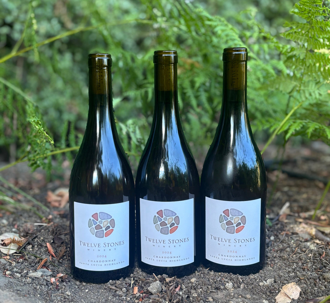 White Allocation Club