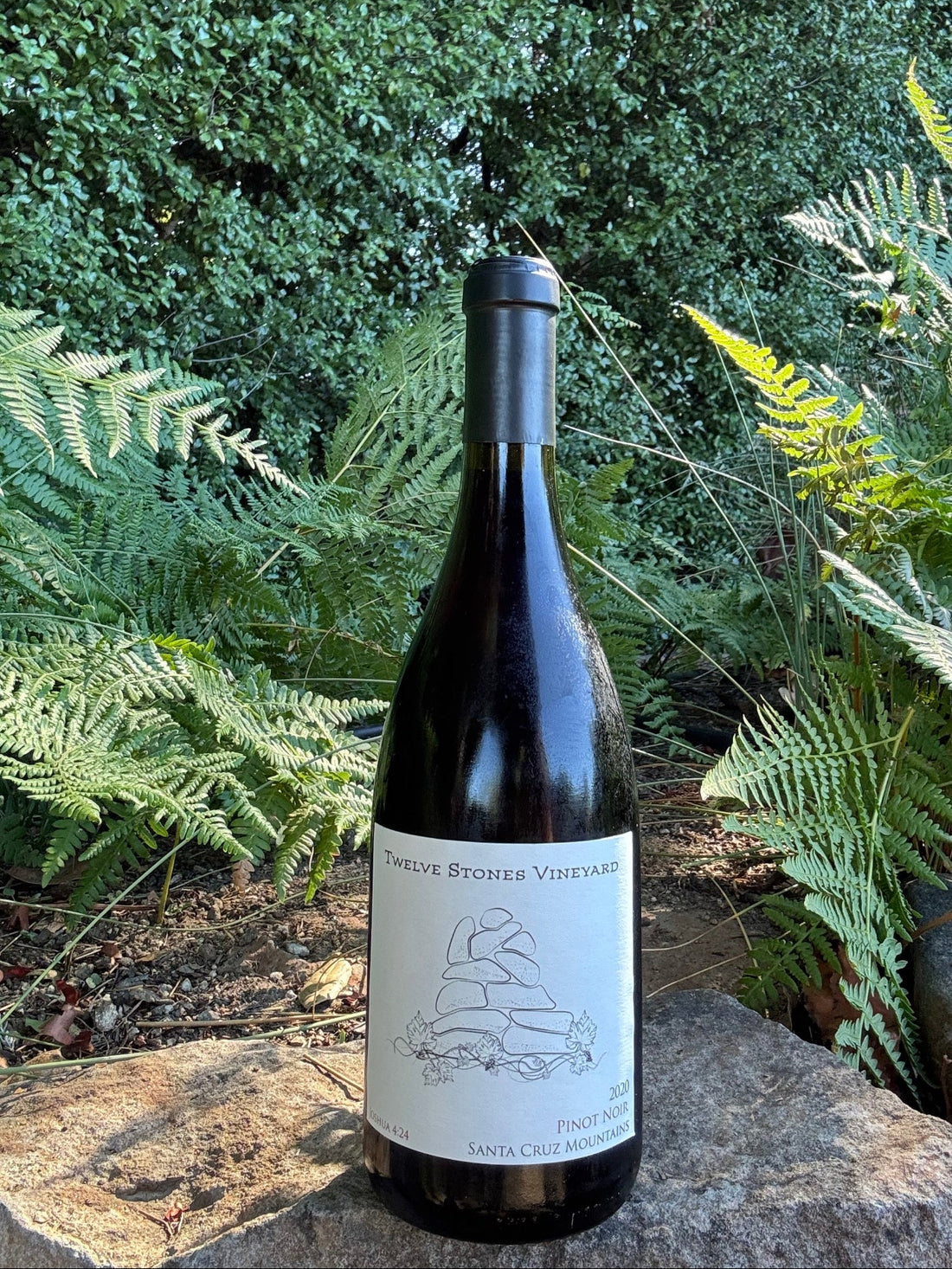2020 Pinot Noir