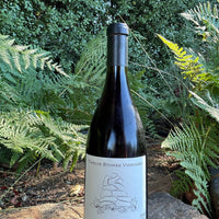 2020 Pinot Noir
