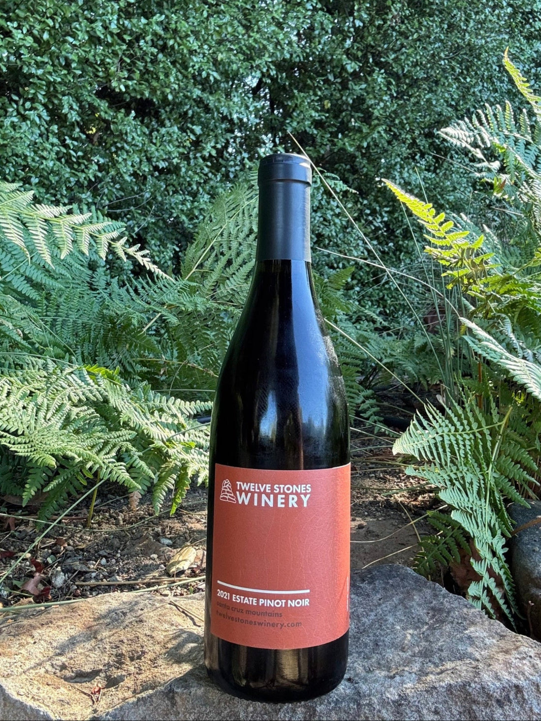 2021 Pinot Noir - 90 pts WE