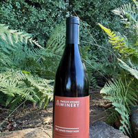 2021 Pinot Noir - 90 pts WE