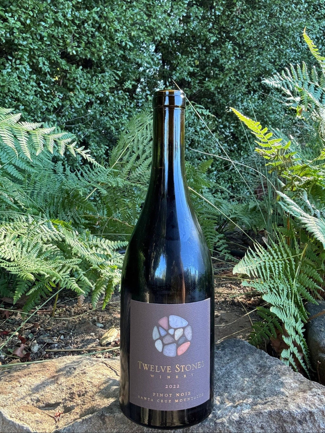 2022 Pinot Noir - 93 pts WE