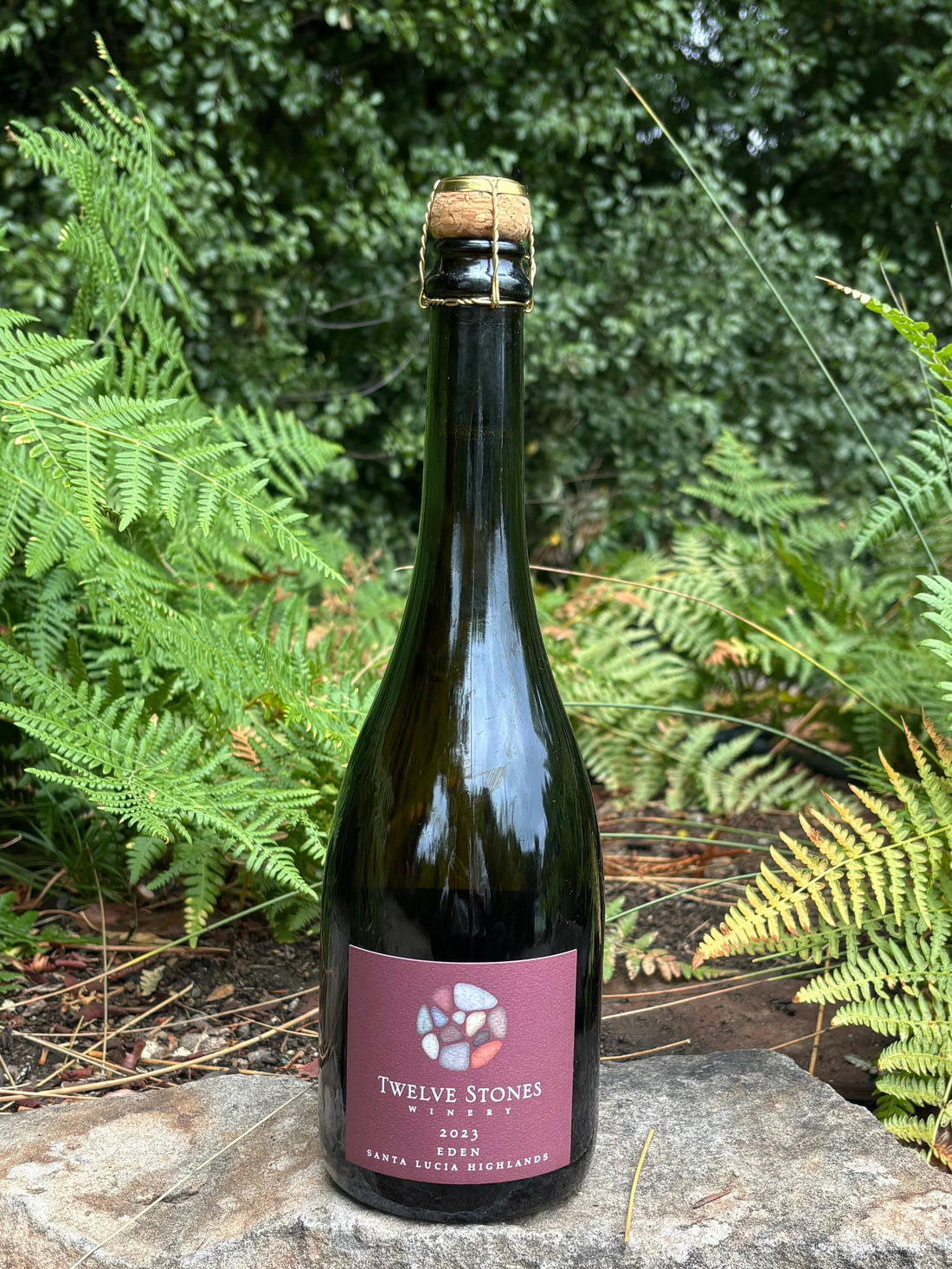 2023 Sparkling