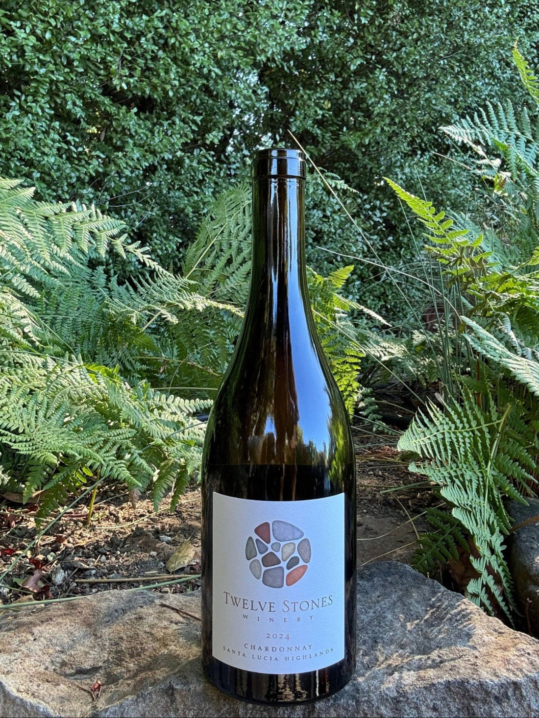2024 Chardonnay - 93 pts WE