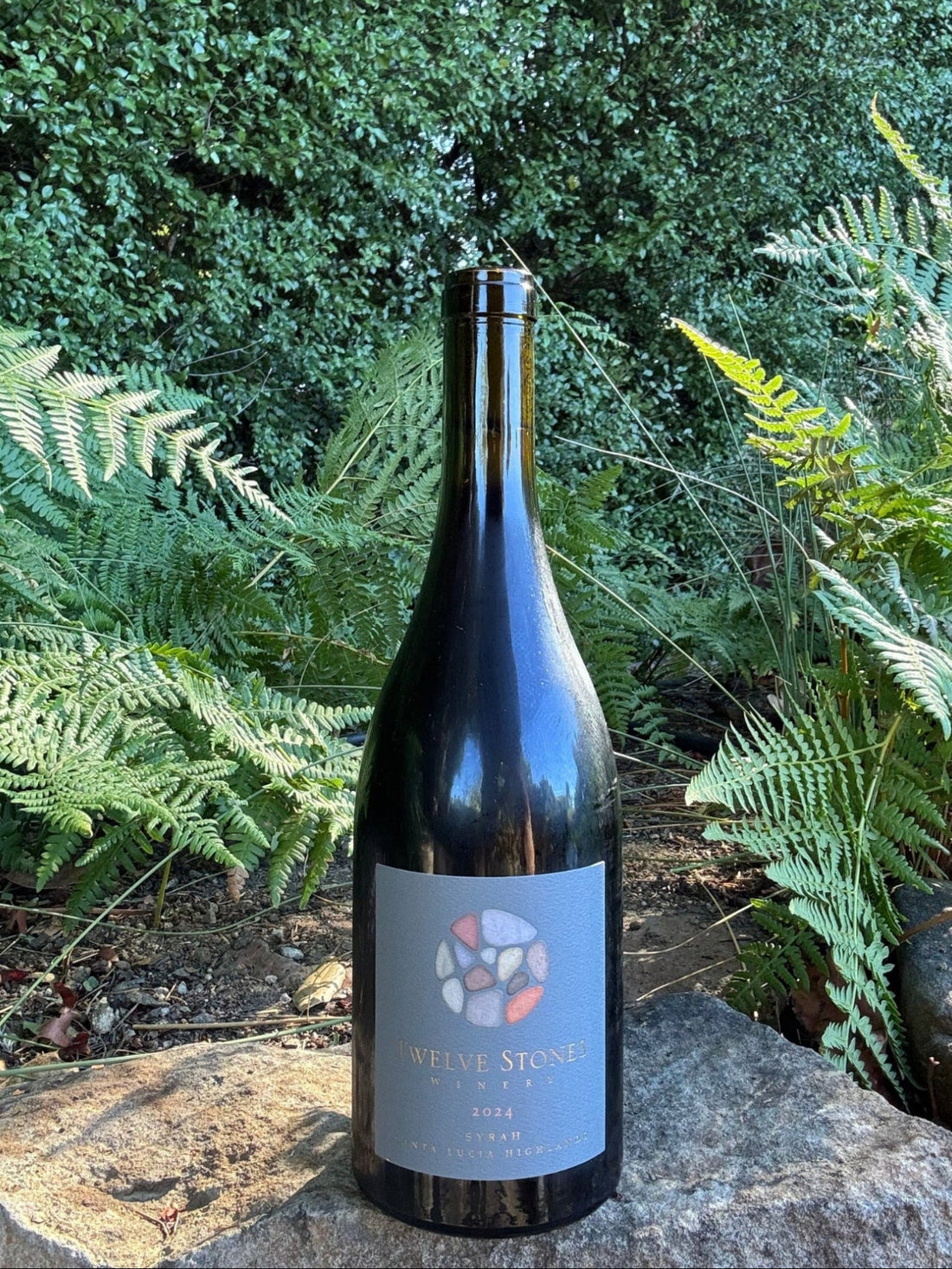 2024 Syrah